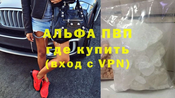 дживик Надым