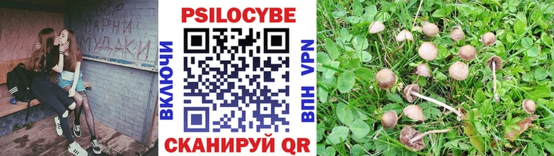shop официальный сайт  Плавск  Псилоцибиновые грибы мицелий 